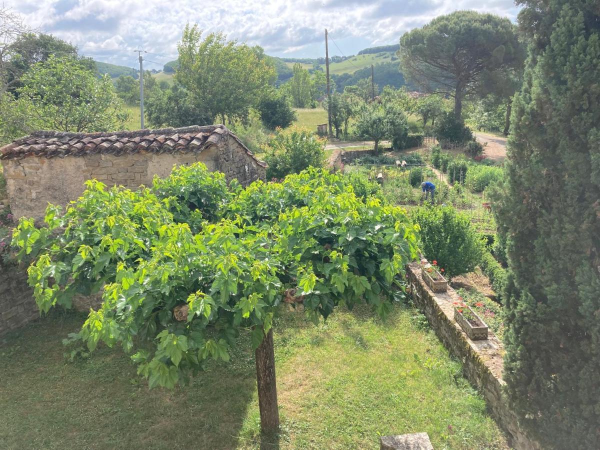 La Ferme Du Paradis Verfeil-sur-Seye Экстерьер фото
